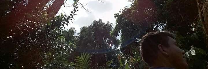 JacielToMa's profile banner image