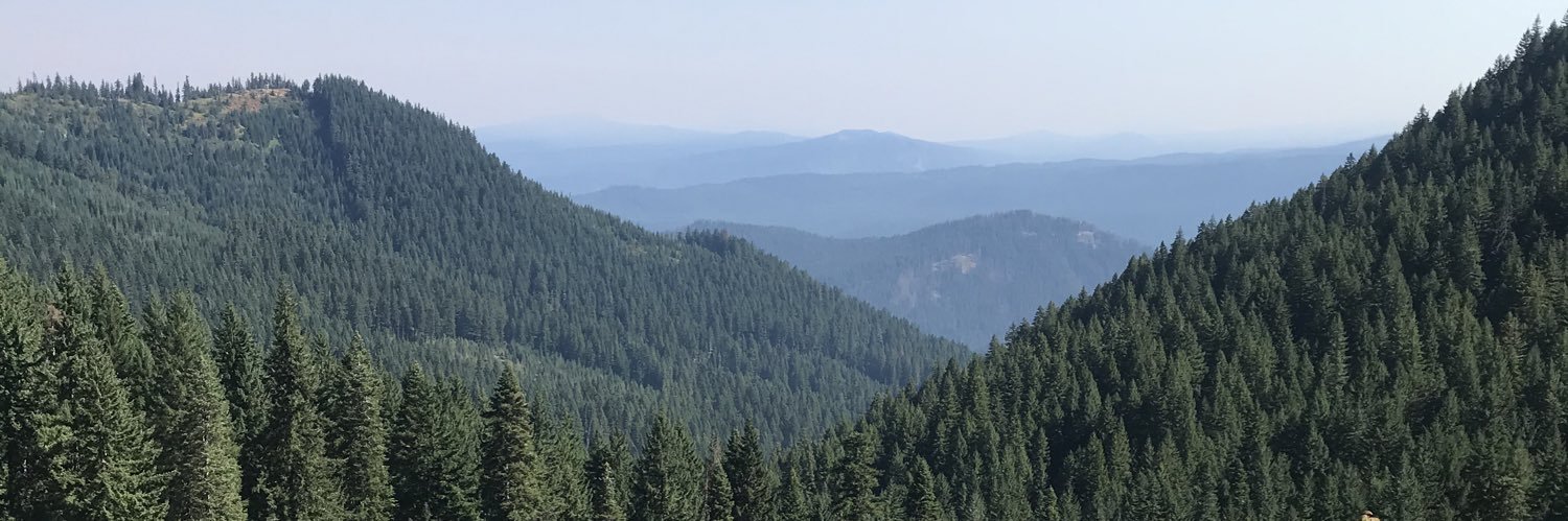 jdsanten's profile banner image