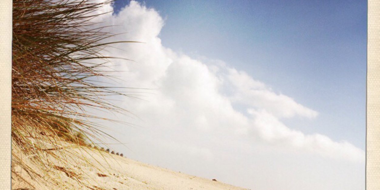 AstridCorall's profile banner image