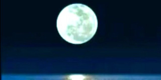 hadialomary's profile banner image