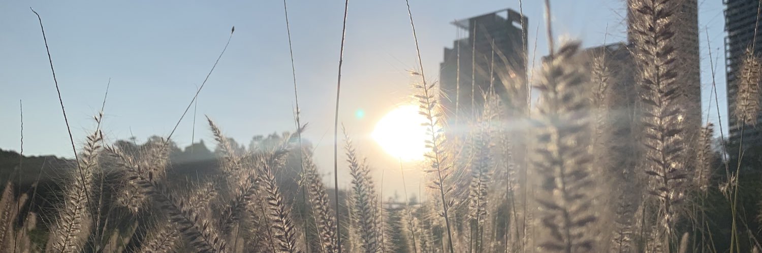 kevinraccon's profile banner image