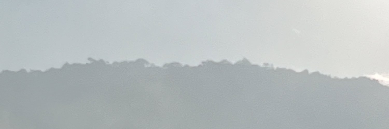 pezgordo's profile banner image