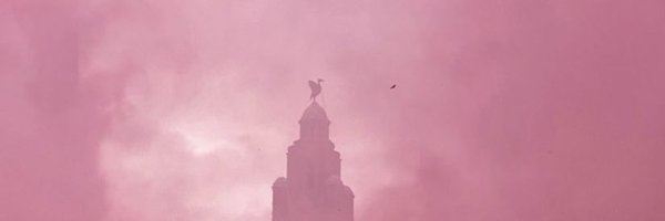 livhendrikspsyc Profile Banner