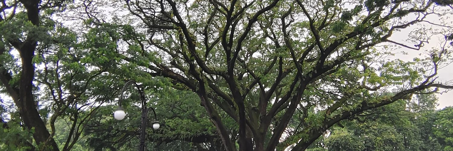 Bandung H & W banner