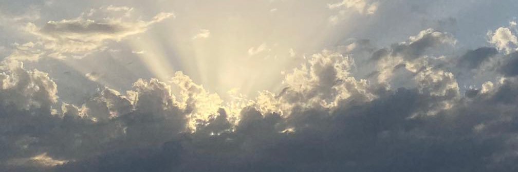 dodo_340's profile banner image