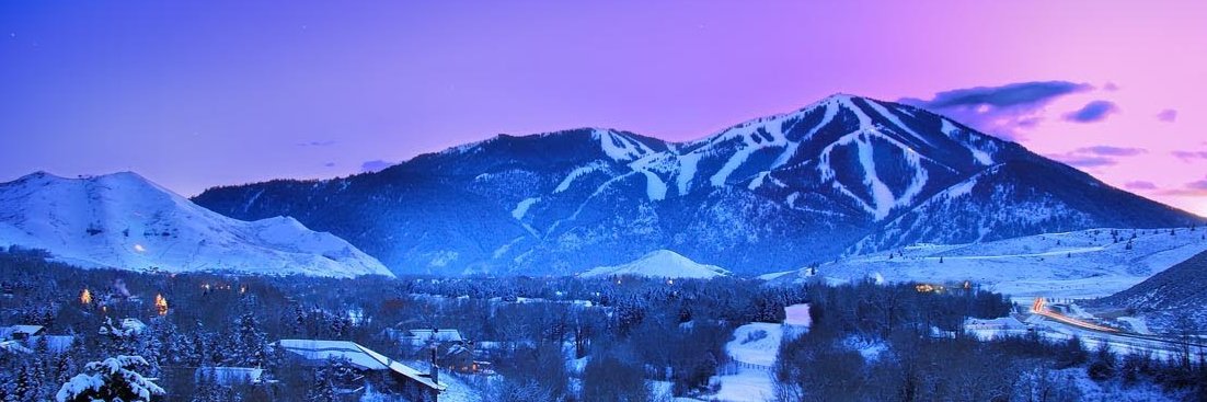 Emily Wyler ⚡️ banner