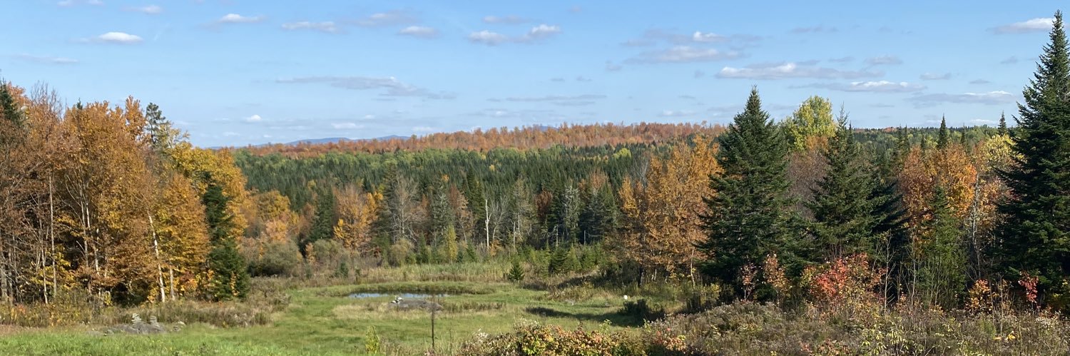 Freespeechless🇺🇸 banner