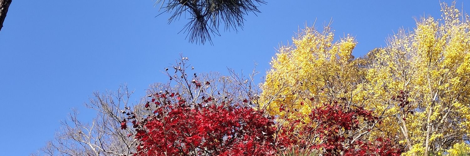 № banner