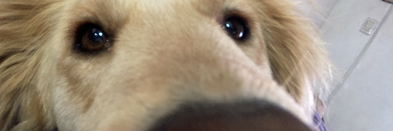 mnatthh's profile banner image