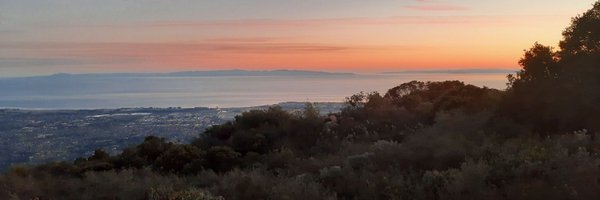 MescalProject Profile Banner