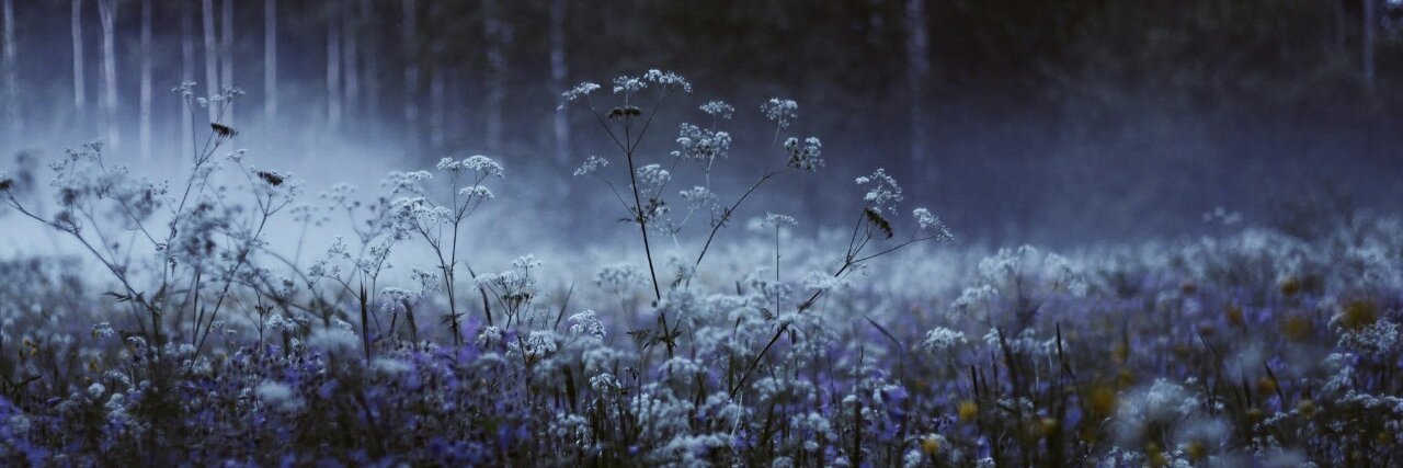 Nadенька banner