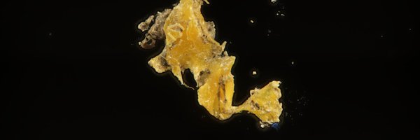 sdavisplastics Profile Banner