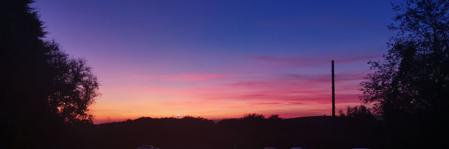 Pippa3105's profile banner image