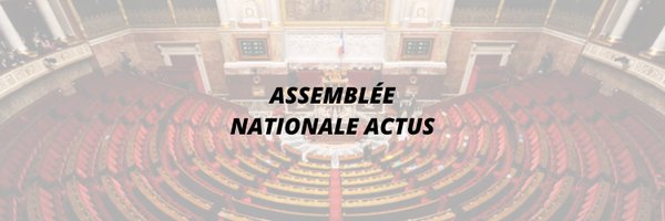 Assemblée Nationale Actus | 🇫🇷🗳 Profile Banner