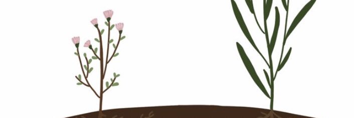 suave_lynn1's profile banner image