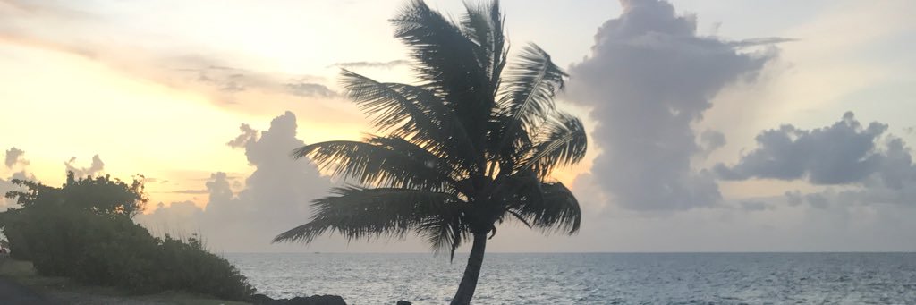 Tanyaisis's profile banner image