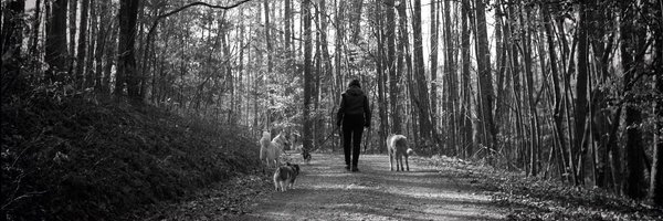 AmyRay Profile Banner