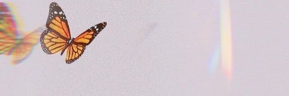 maacamposf's profile banner image