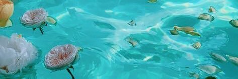 FEBE banner