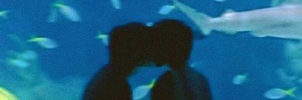 SetoKaizenF's profile banner image
