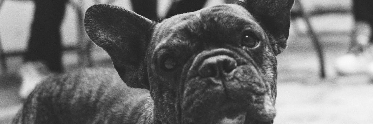 jluanzo_'s profile banner image