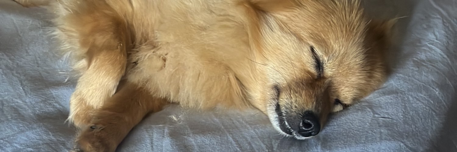 FranklinlopesM's profile banner image