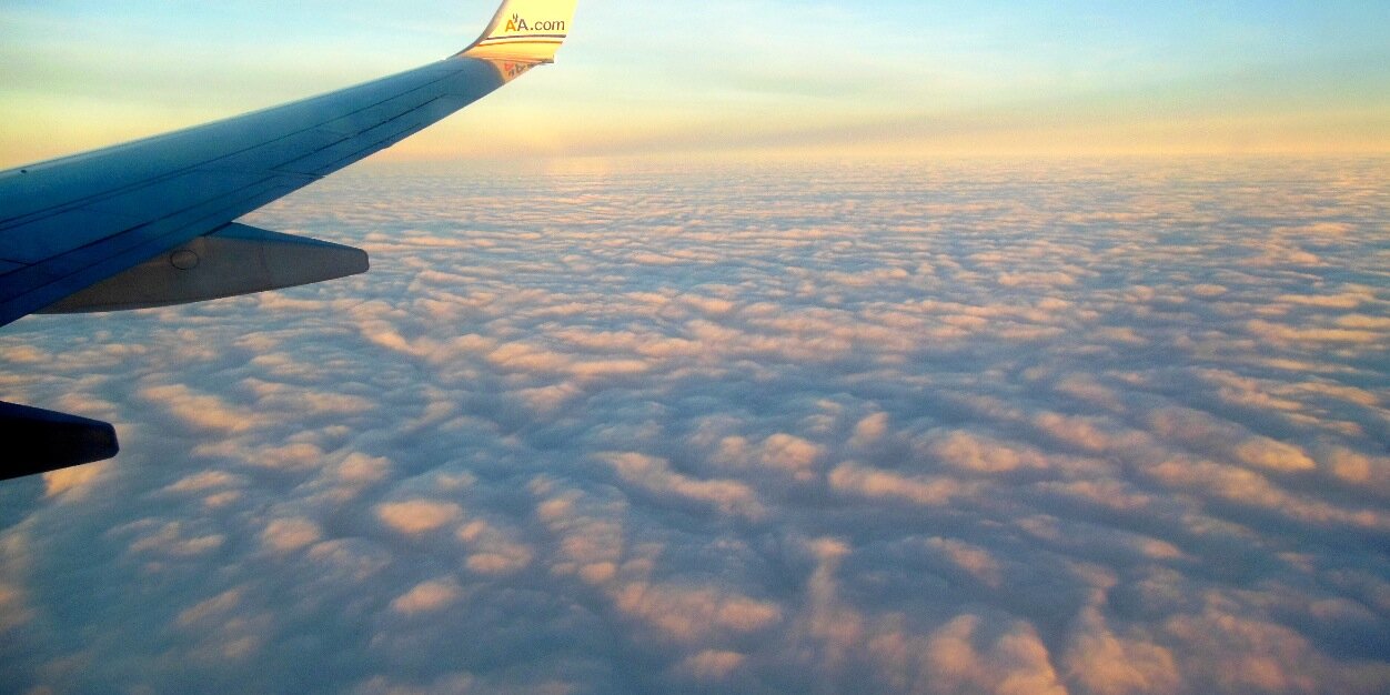 Elizabeth Tibble banner