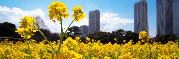 ataru_mix Profile Banner