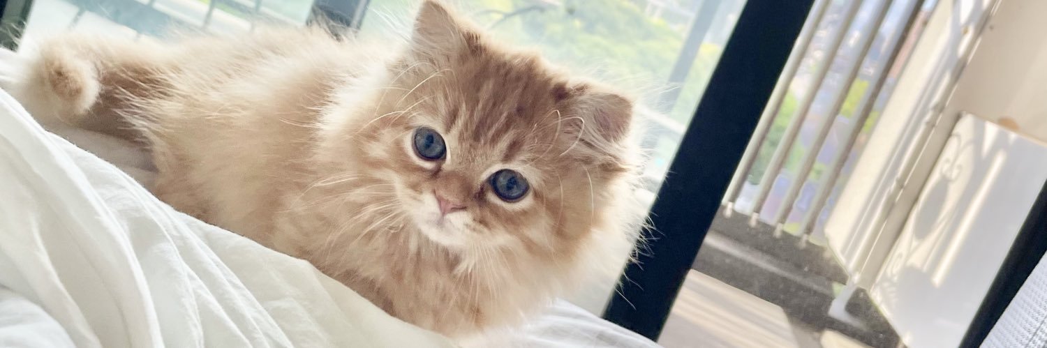 うなねこです。 banner