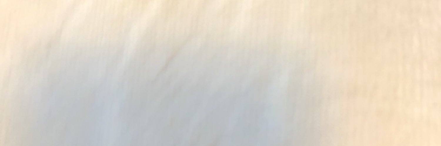 BinglToprak's profile banner image