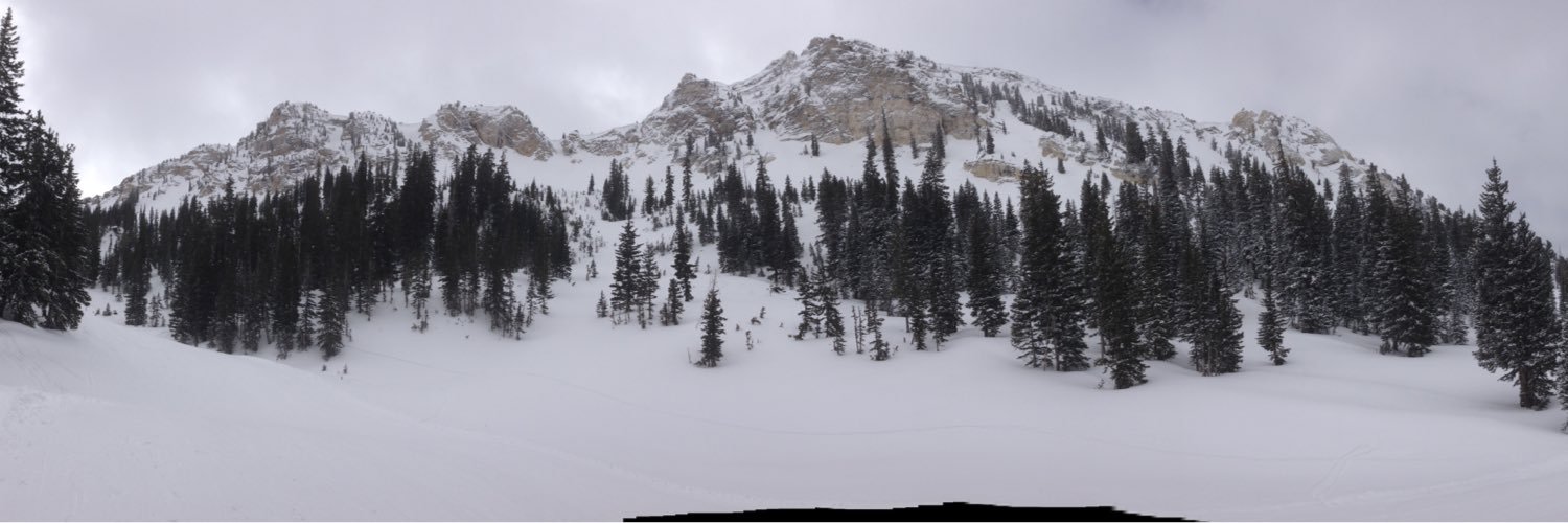 Alan Macfarlane banner