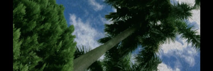 rogdav1712's profile banner image