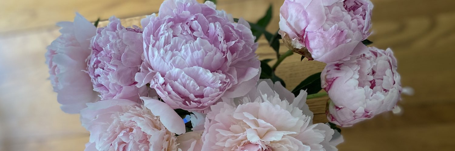 Emilylsimpson's profile banner image