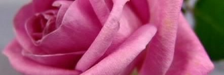 MoAn2009's profile banner image