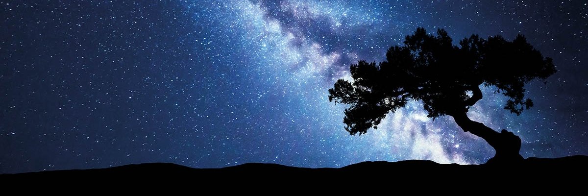 silviatwits's profile banner image