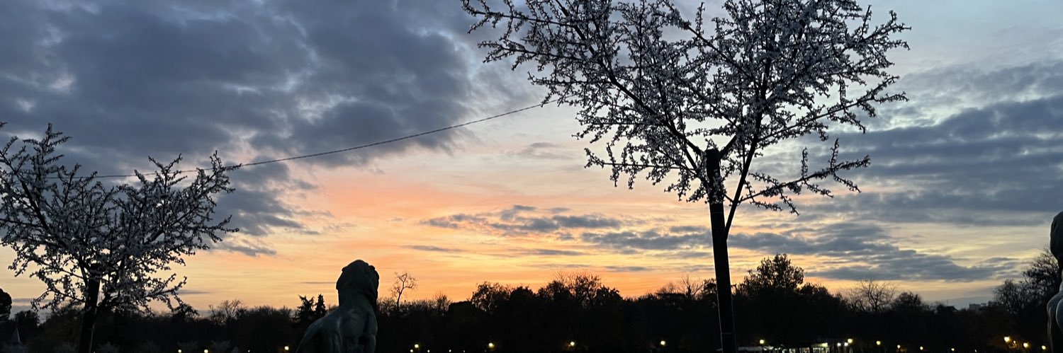 _gabrielaborba_'s profile banner image