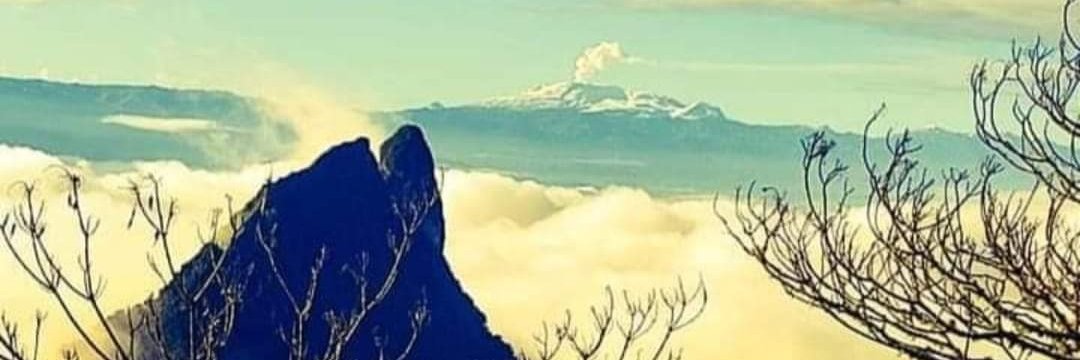 MONROYCALVO's profile banner image