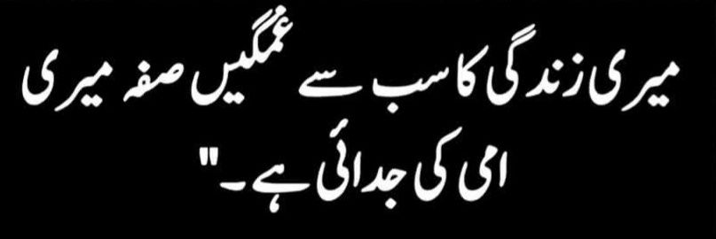 Shahid Raجput.🇵🇰 banner