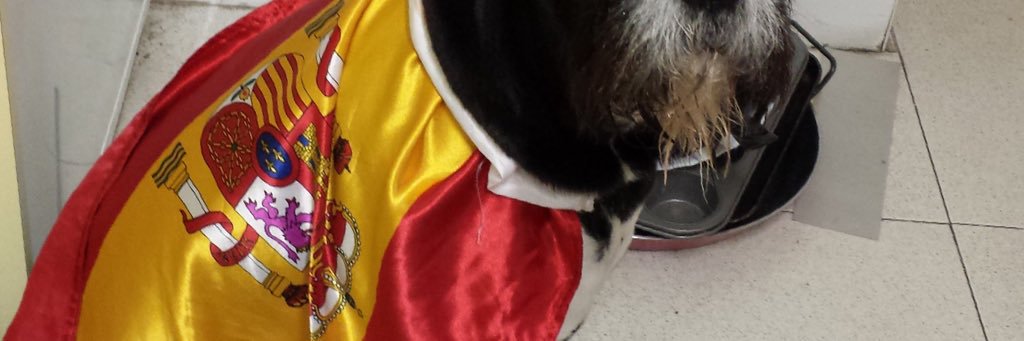 XAsturies's profile banner image