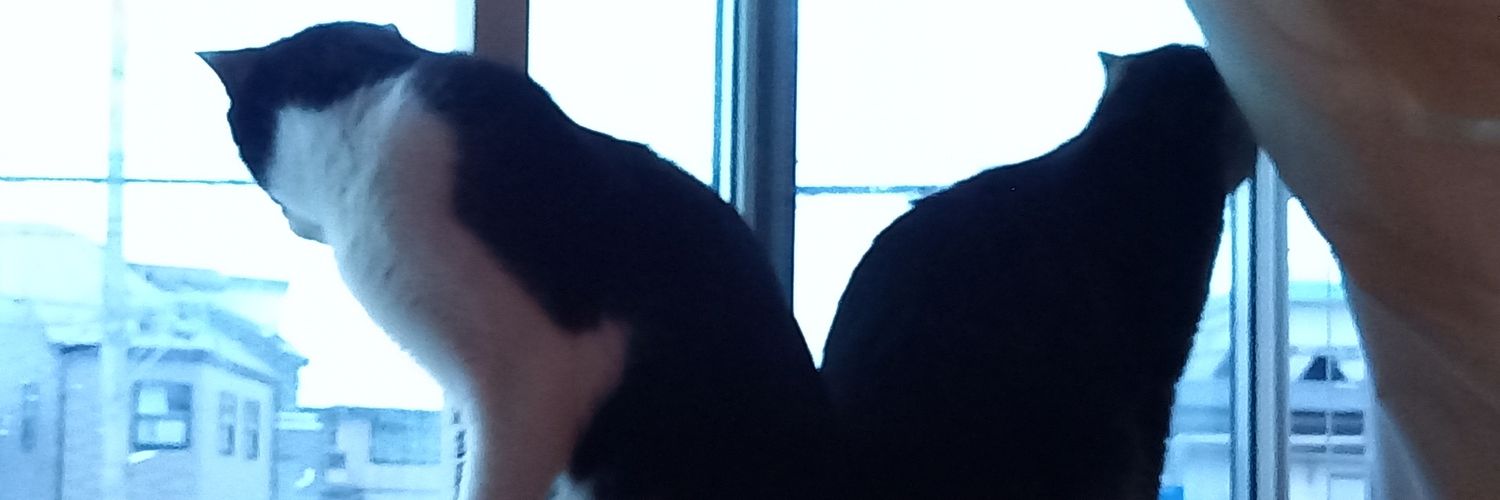mo___fu___ri's profile banner image