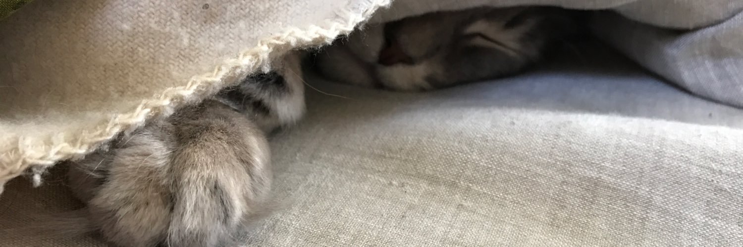 raewyn's profile banner image
