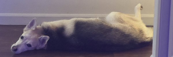 TheBlondeAllDay Profile Banner
