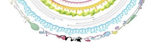yokayoi's profile banner image