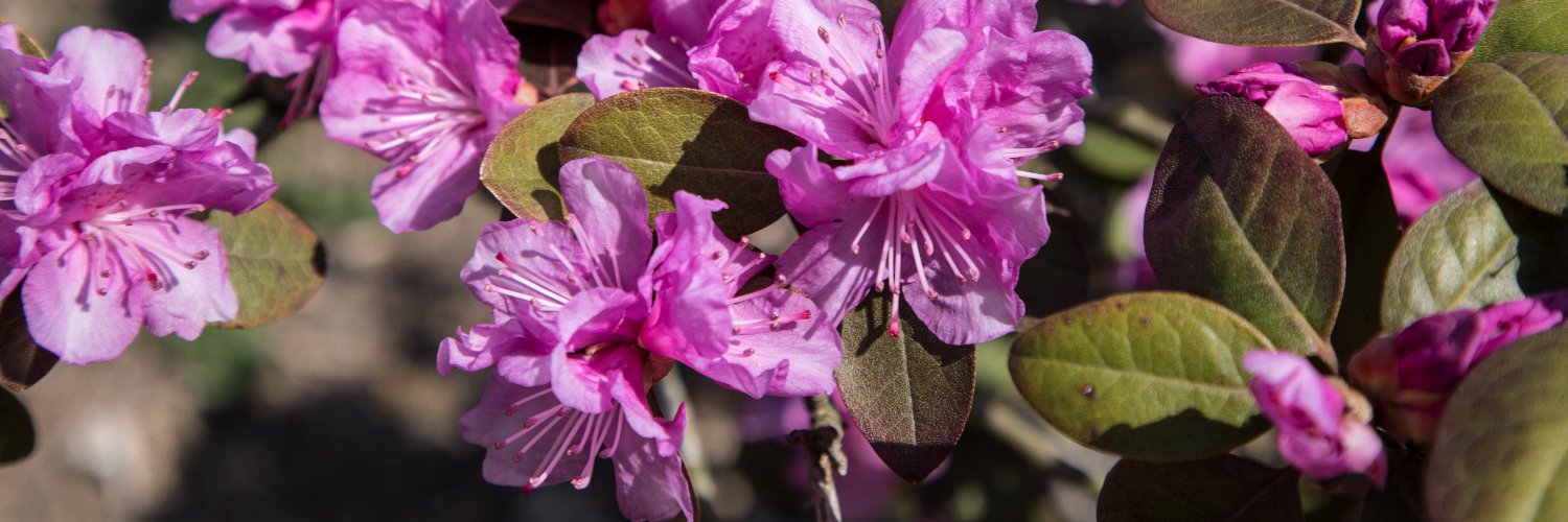 Delaware DNREC banner