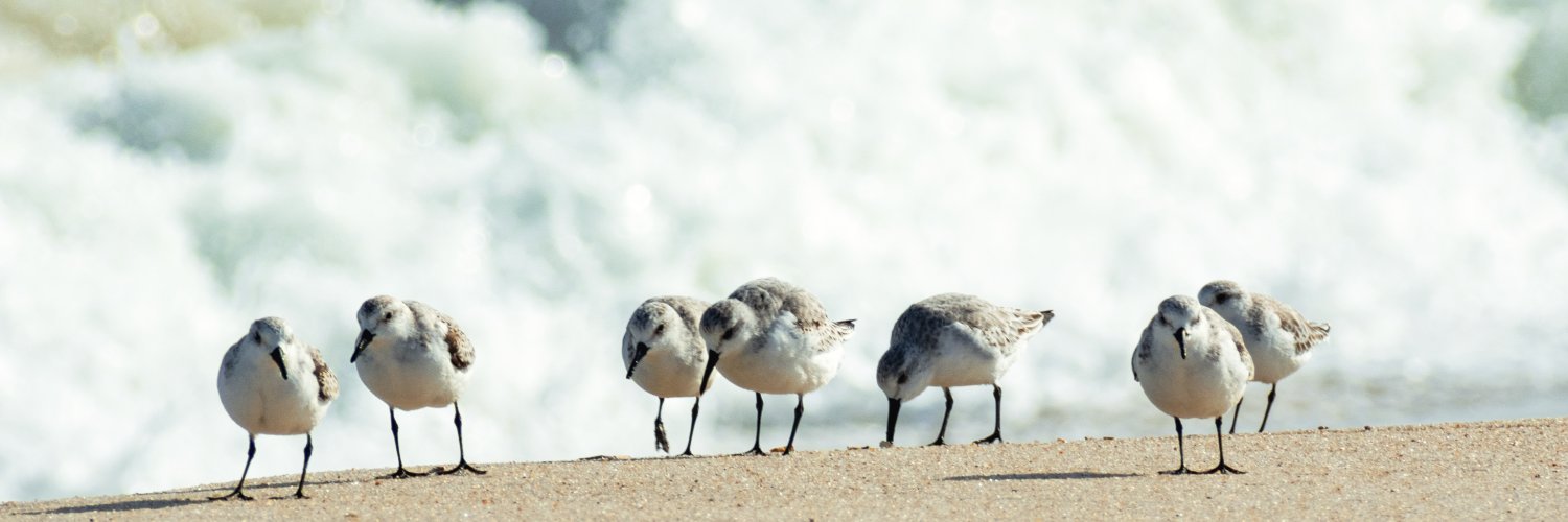 DelawareDNREC's profile banner image