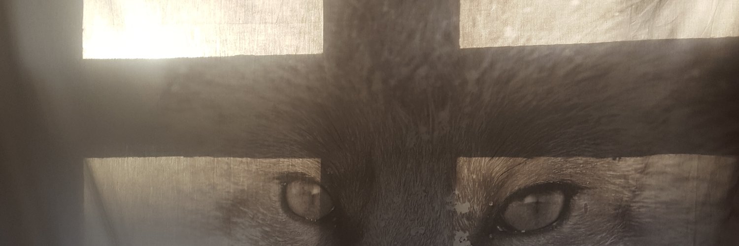 streetsofarhus's profile banner image
