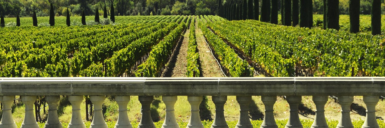 Ranva Vilious banner