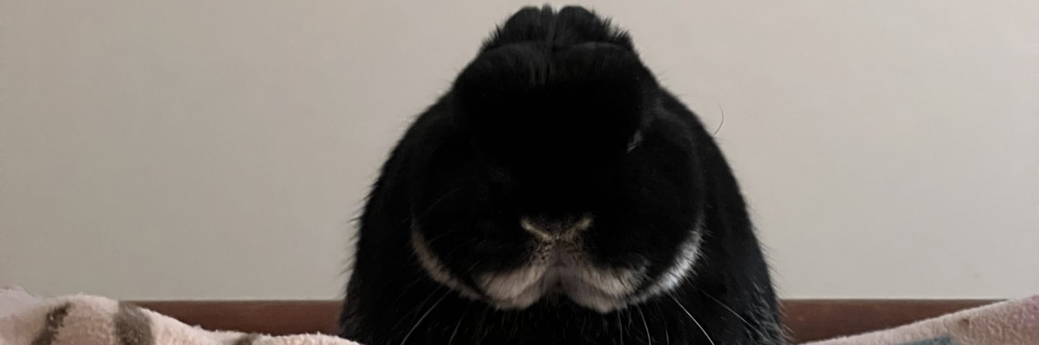 oajackson's profile banner image