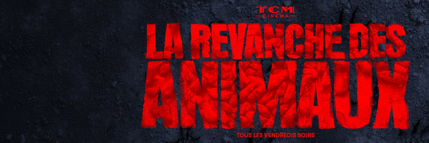 TCM_Cinema's profile banner image