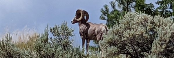 ekgflatliner1 Profile Banner